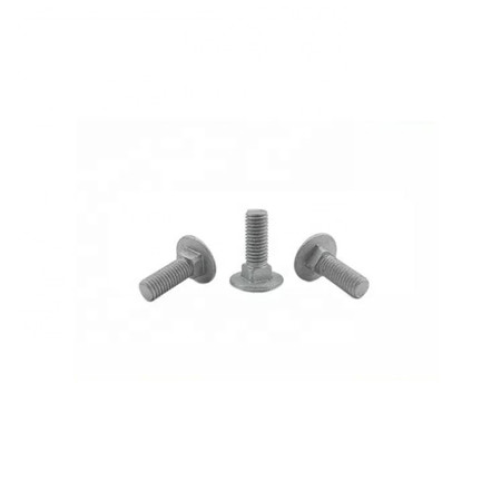 Din603 5 Carriage Bolt Stainless Steel 304 Grade 5 Carriage Bolt