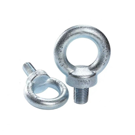 Stainless Steel AISI304 AISI316 DIN 580 Lifting Eye Bolt Screw (M6 - M30)